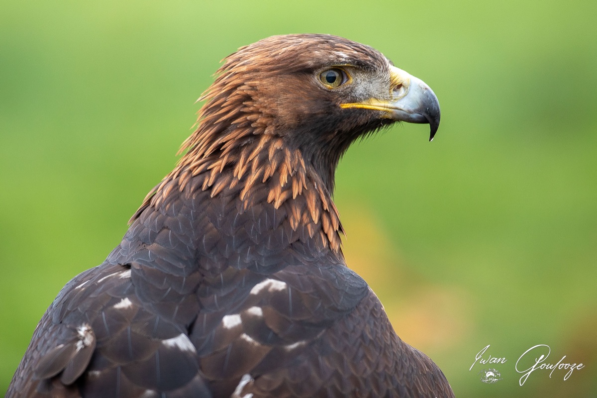  5D40247 28 november 2021 1128 40